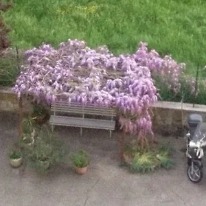Apartamento Zona Torregalli_nuvola Rossa, Florencia